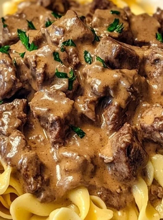 Beef Stroganoff with Egg Noodles 23 Beef Stroganoff with Egg Noodles