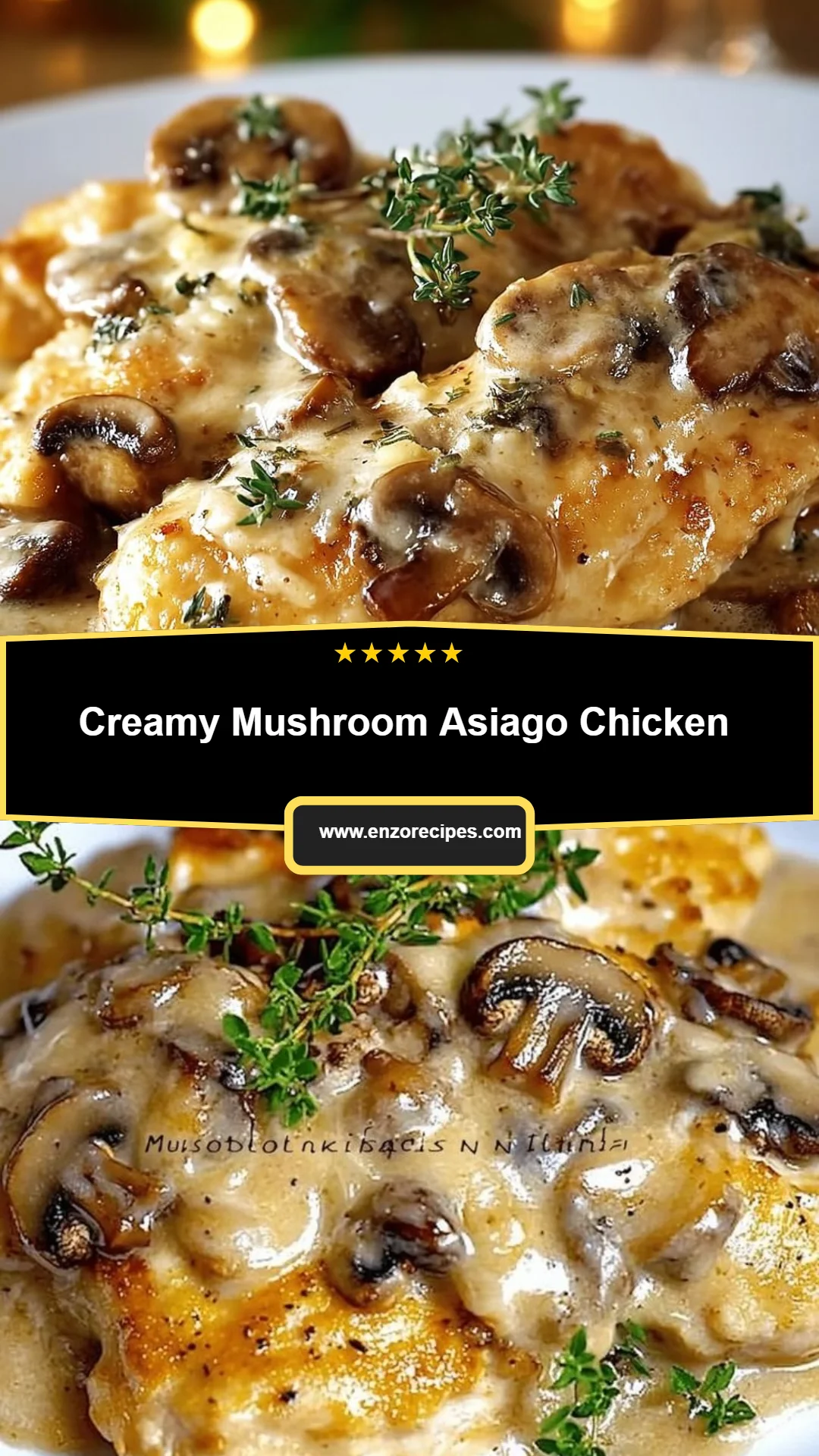 Creamy Mushroom Asiago Chicken 26 Creamy Mushroom Asiago Chicken