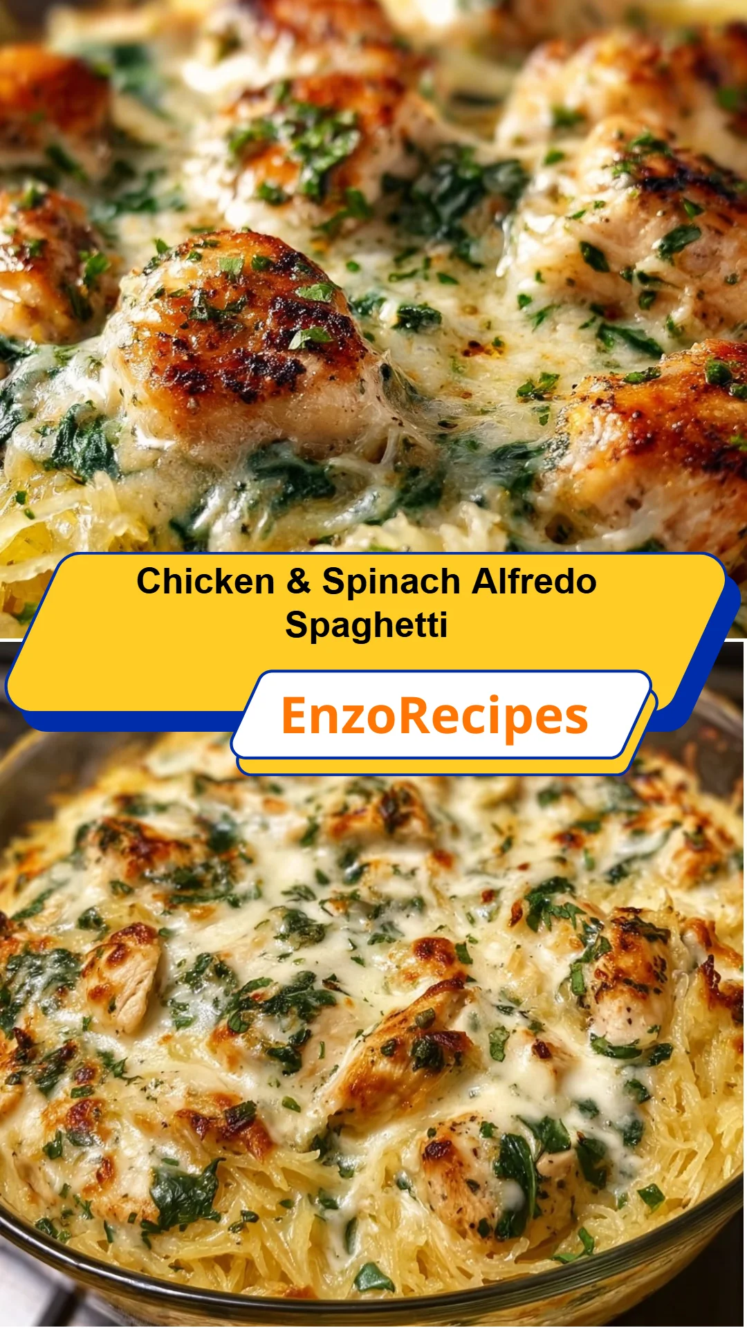 Chicken & Spinach Alfredo Spaghetti 3 Chicken & Spinach Alfredo Spaghetti