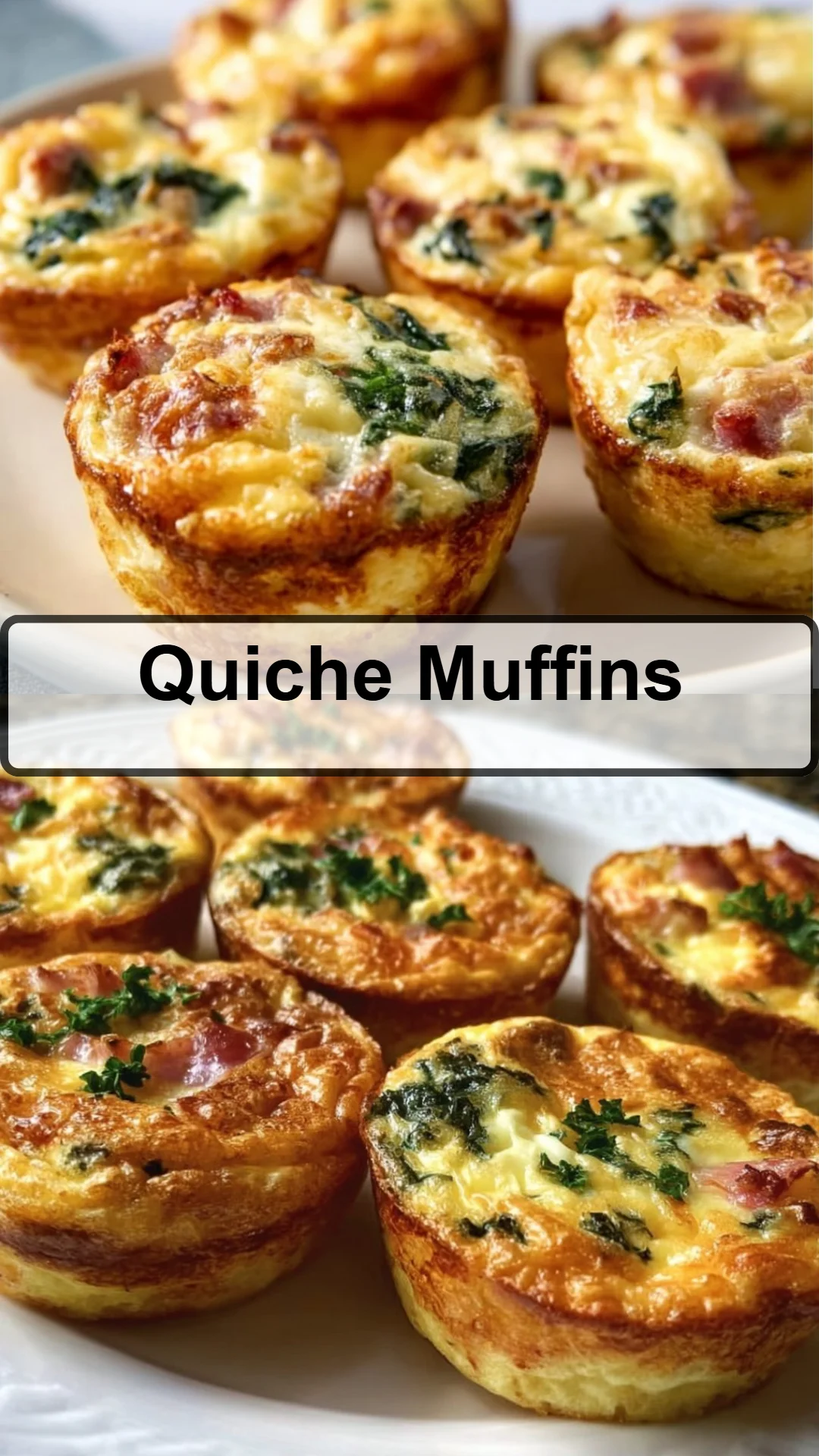 Quiche Muffins 8 Quiche Muffins